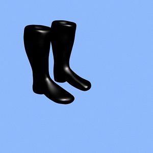black boots max