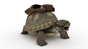 Tortoise 3D model