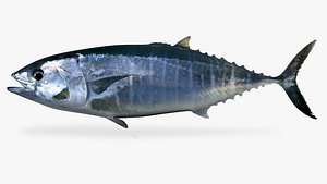 bluefinTuna