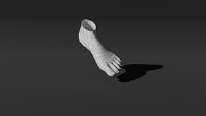 3D Basic low poly foot