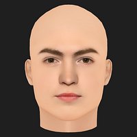 Low Poly Kit Connor Head
