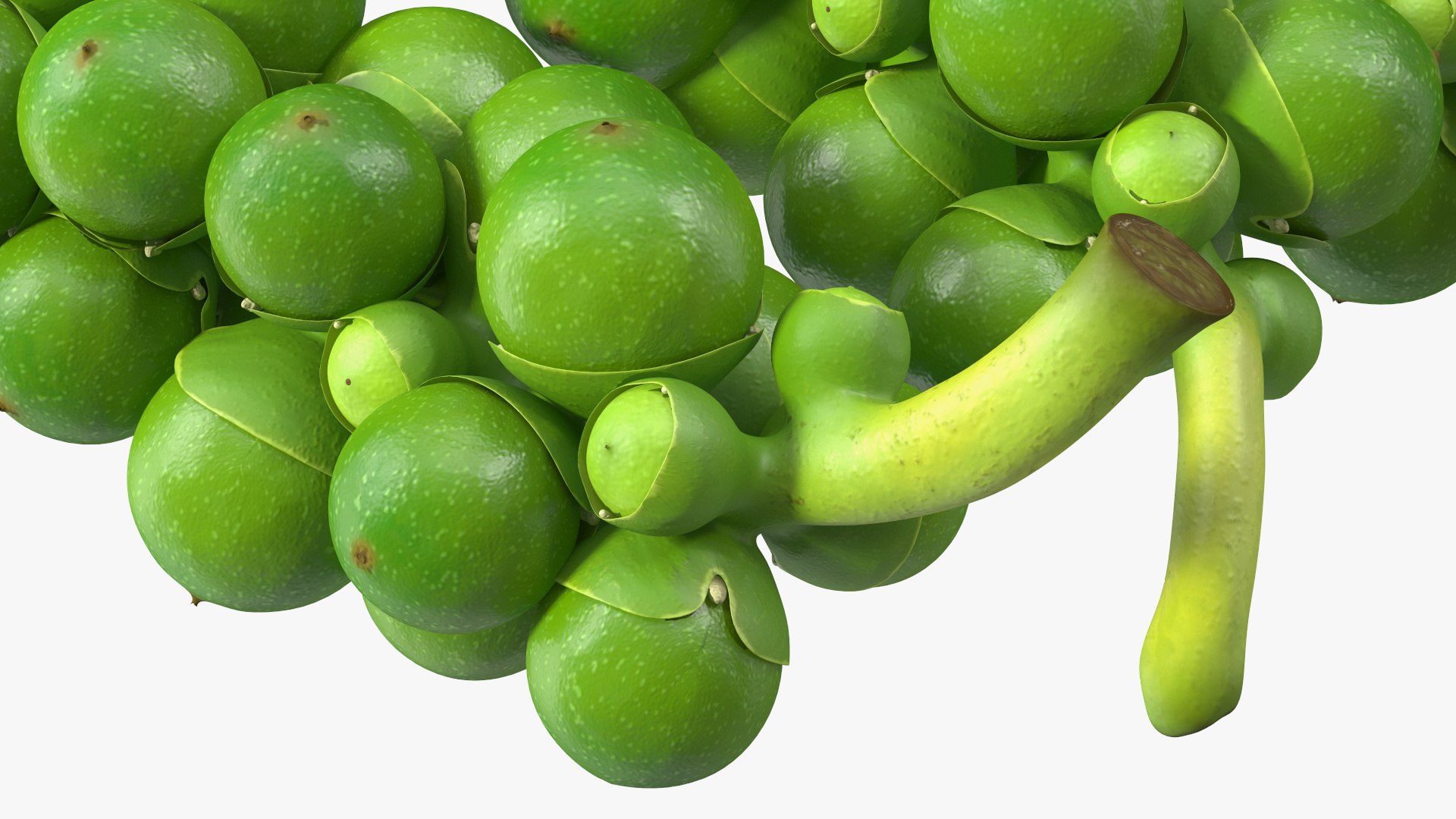 Fresh Peppers Collection 4 model https://p.turbosquid.com/ts-thumb/i5/MdTrFb/1H/freshpepperscollection43dsmodel049/jpg/1682543760/1920x1080/fit_q87/294012166f2e40d349f1c9a941cff50b819119c4/freshpepperscollection43dsmodel049.jpg