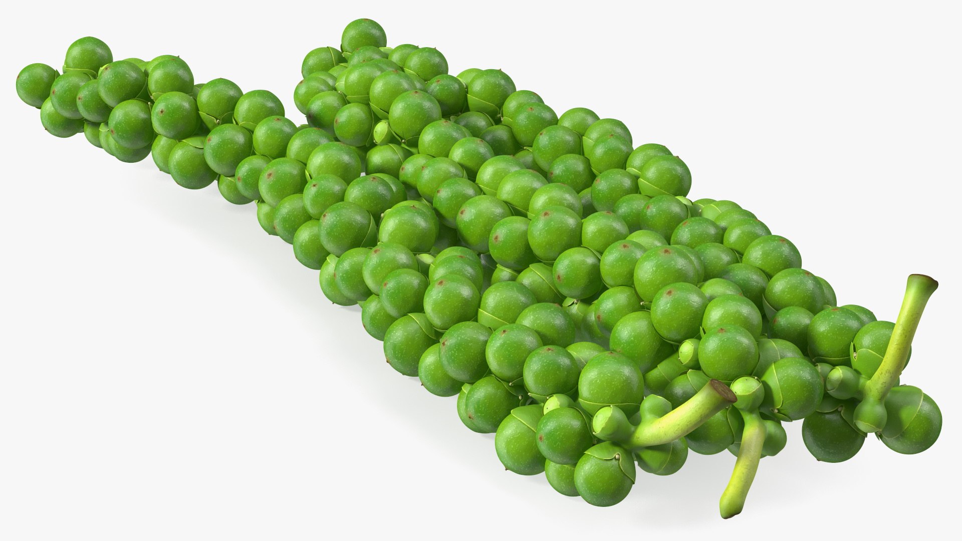 Fresh Peppers Collection 4 model https://p.turbosquid.com/ts-thumb/i5/MdTrFb/BQ/freshpepperscollection43dsmodel043/jpg/1682543741/1920x1080/fit_q87/5a7704103a3e8e0b50e7d18a589715ffb647265a/freshpepperscollection43dsmodel043.jpg