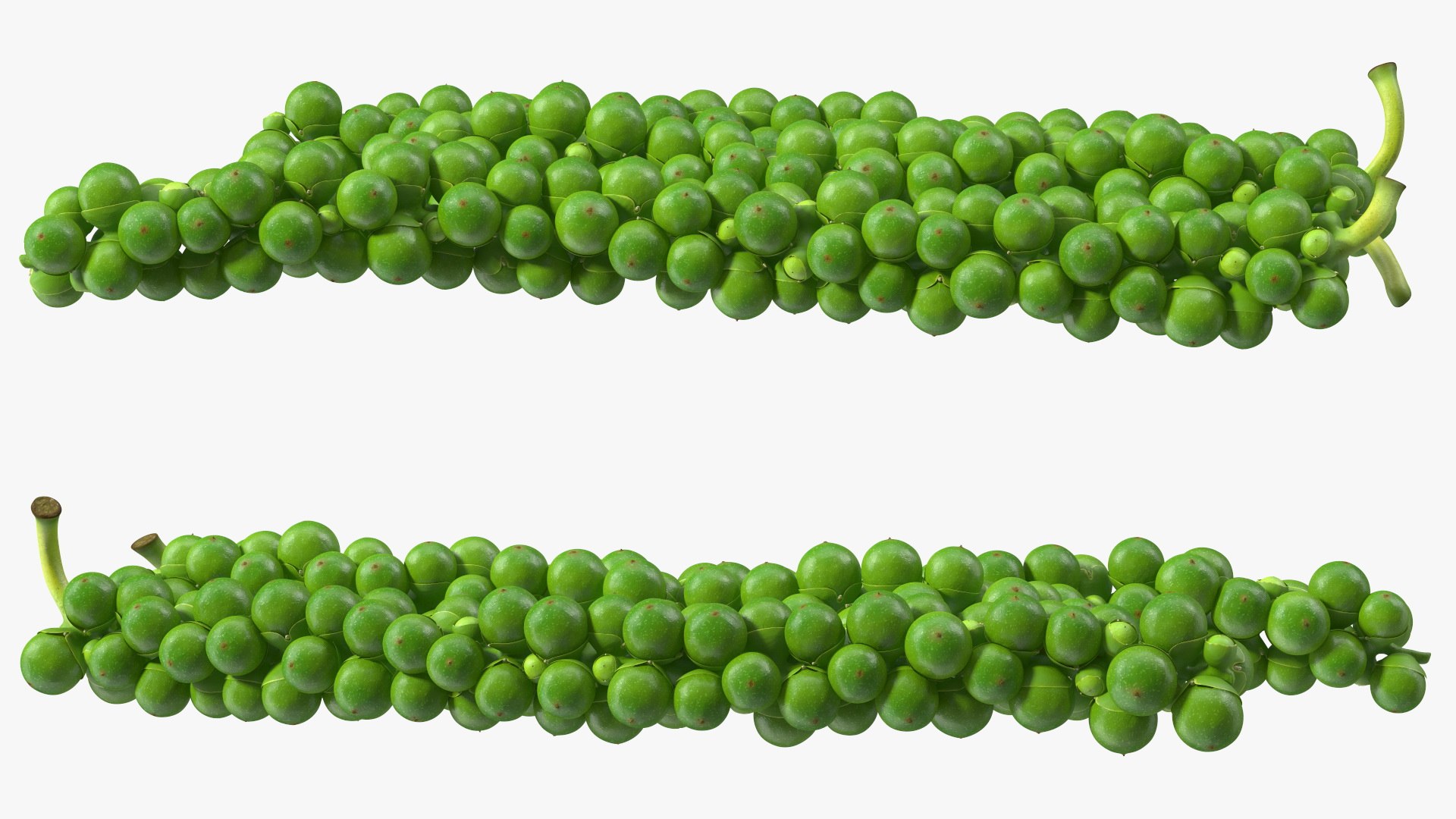 Fresh Peppers Collection 4 model https://p.turbosquid.com/ts-thumb/i5/MdTrFb/T9/freshpepperscollection43dsmodel044/jpg/1682543744/1920x1080/fit_q87/c183afcdde2ea7252493e7b2e8b852698910ee0e/freshpepperscollection43dsmodel044.jpg