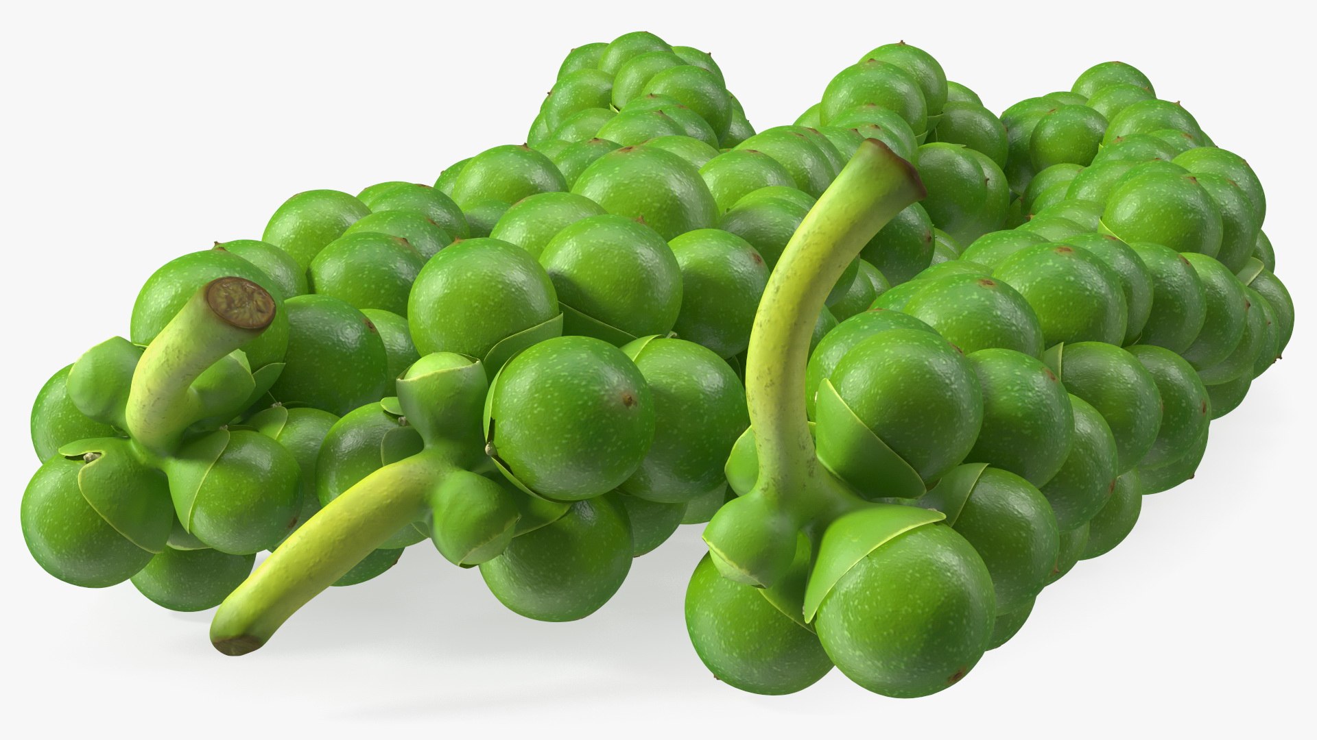 Fresh Peppers Collection 4 model https://p.turbosquid.com/ts-thumb/i5/MdTrFb/b4/freshpepperscollection43dsmodel046/jpg/1682543750/1920x1080/fit_q87/541cdcd06ac3e1098268eb45ee6feddfa008c233/freshpepperscollection43dsmodel046.jpg
