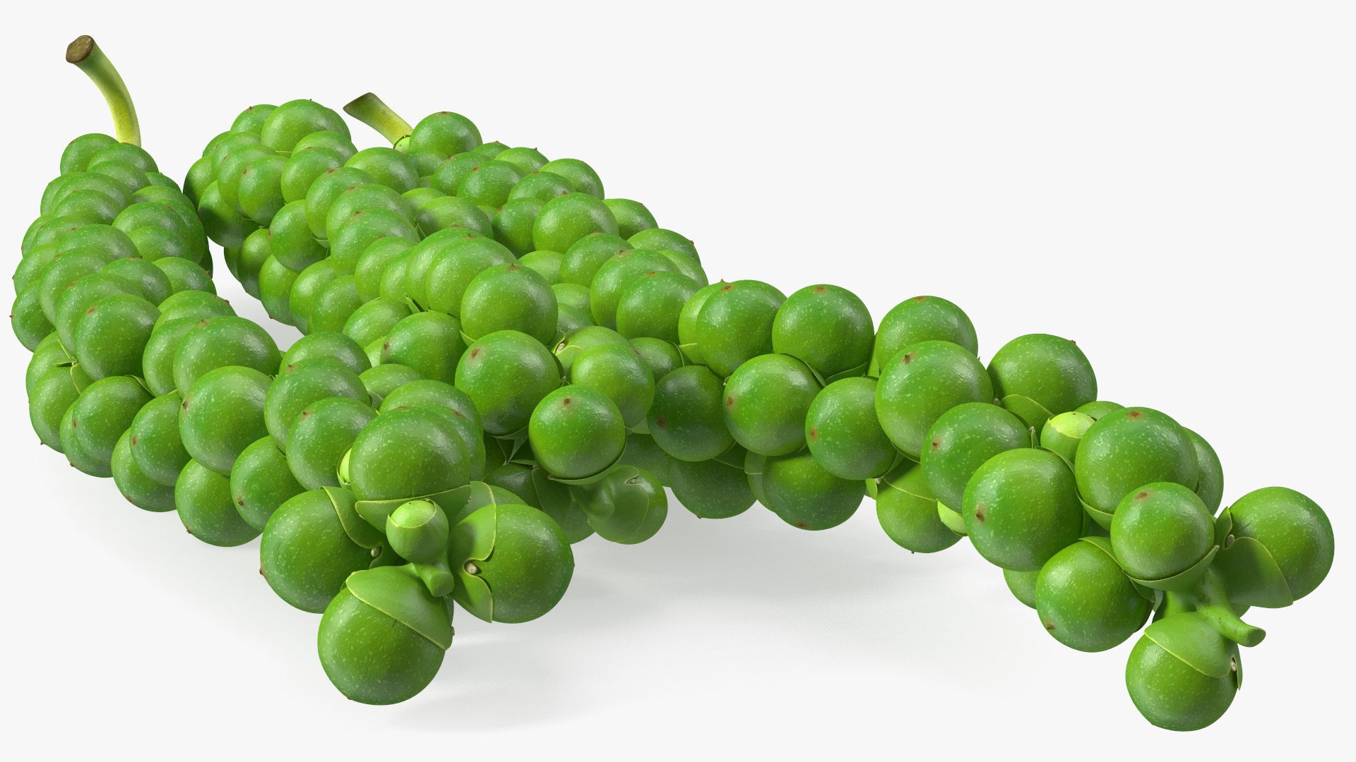 Fresh Peppers Collection 4 model https://p.turbosquid.com/ts-thumb/i5/MdTrFb/bX/freshpepperscollection43dsmodel045/jpg/1682543747/1920x1080/fit_q87/8b289e6c6a9b03933c9b6ca62e0ce55557b775ab/freshpepperscollection43dsmodel045.jpg
