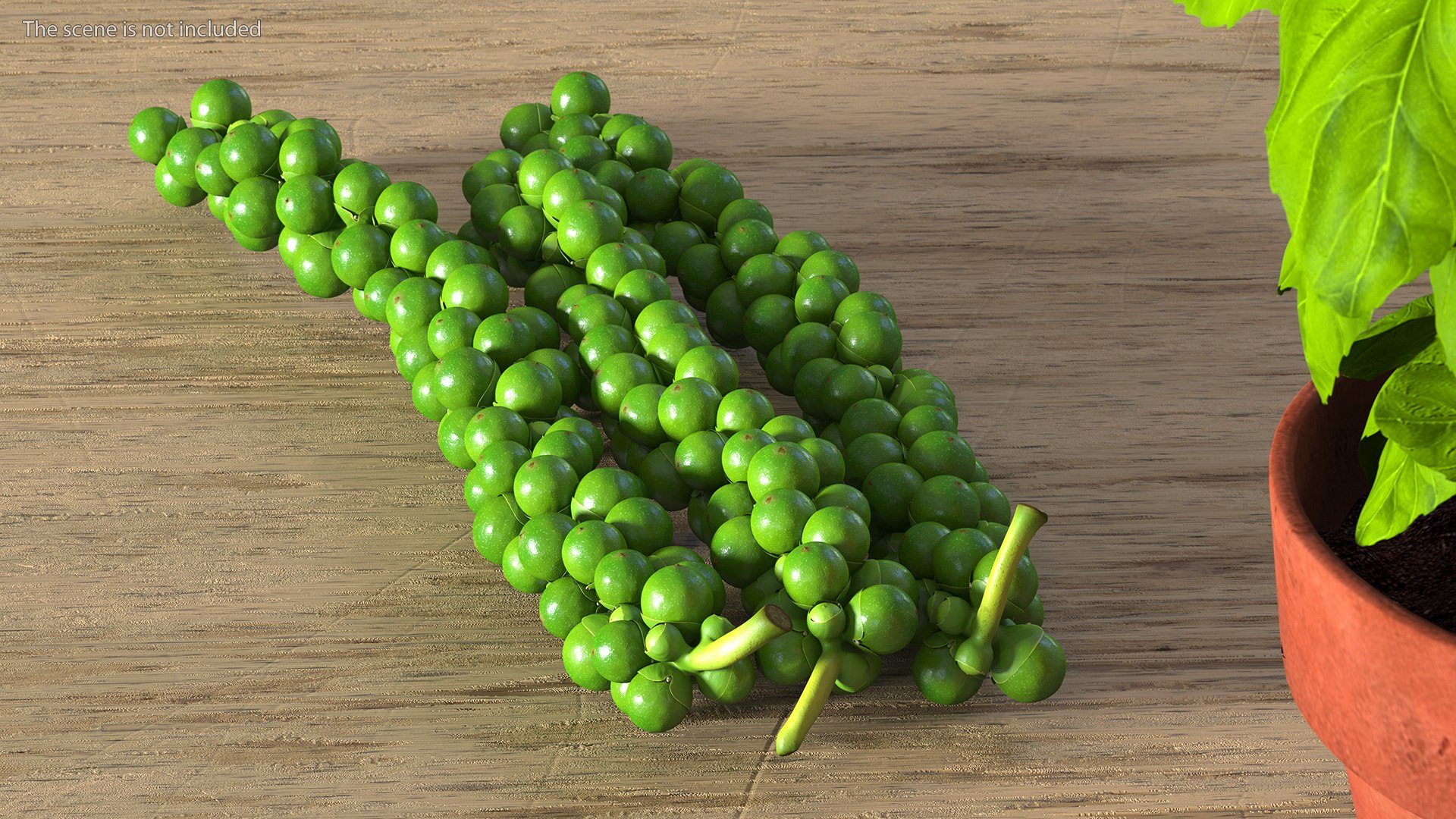 Fresh Peppers Collection 4 model https://p.turbosquid.com/ts-thumb/i5/MdTrFb/qh/freshpepperscollection43dsmodel037/jpg/1682543718/1920x1080/fit_q87/97342b7f5a1561c28eb2af3a4fcd15c1ef48f213/freshpepperscollection43dsmodel037.jpg