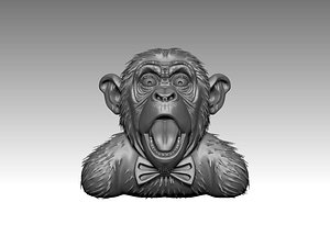 Monkey Surprise