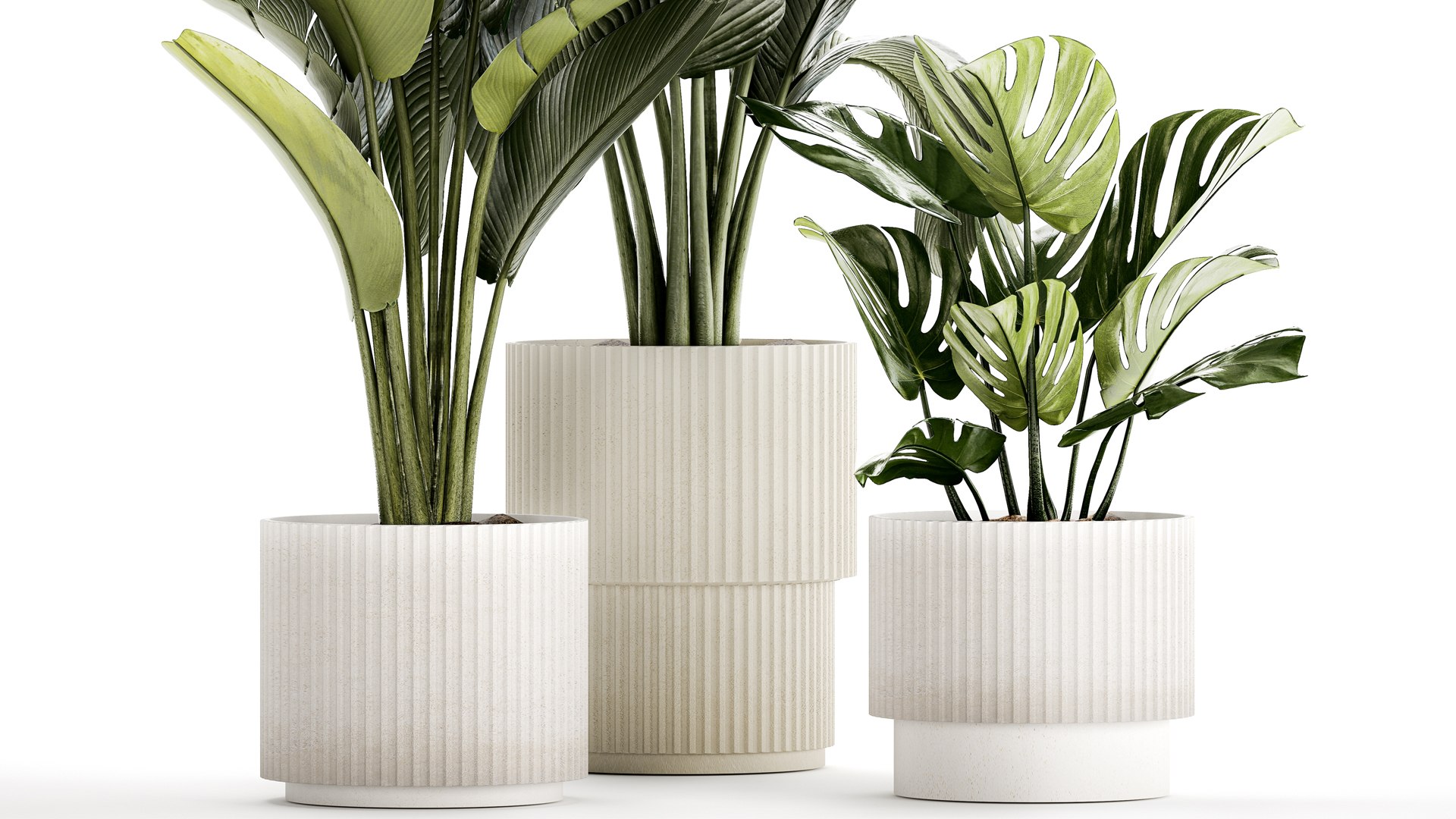 PLANTS set 06112023 3D MAX 2015 3D model https://p.turbosquid.com/ts-thumb/i5/aVdBSQ/CS/1plantsset0611202305/jpg/1699351966/1920x1080/fit_q87/11a5568fadab1fe1acaef8b40fa7579b478d077f/1plantsset0611202305.jpg