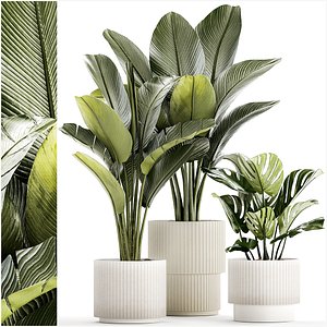 PLANTS set 06112023 3D MAX 2015 3D model