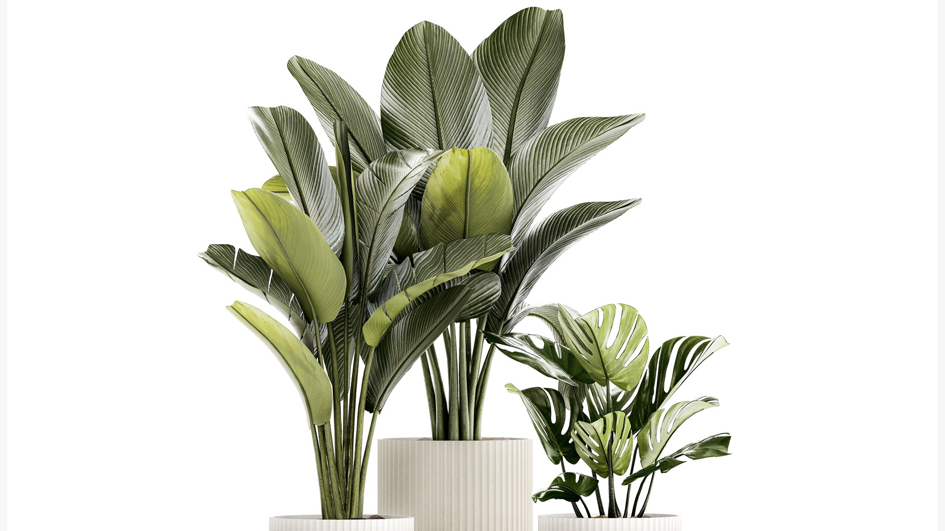 PLANTS set 06112023 3D MAX 2015 3D model https://p.turbosquid.com/ts-thumb/i5/aVdBSQ/Ql/1plantsset0611202304/jpg/1699351966/1920x1080/fit_q87/0d1bf8ffd43ef3eff140c32ecff2167cda108fd6/1plantsset0611202304.jpg