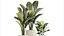 Set PIANTE 06112023 3D MAX 2015