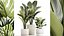 Set PIANTE 06112023 3D MAX 2015