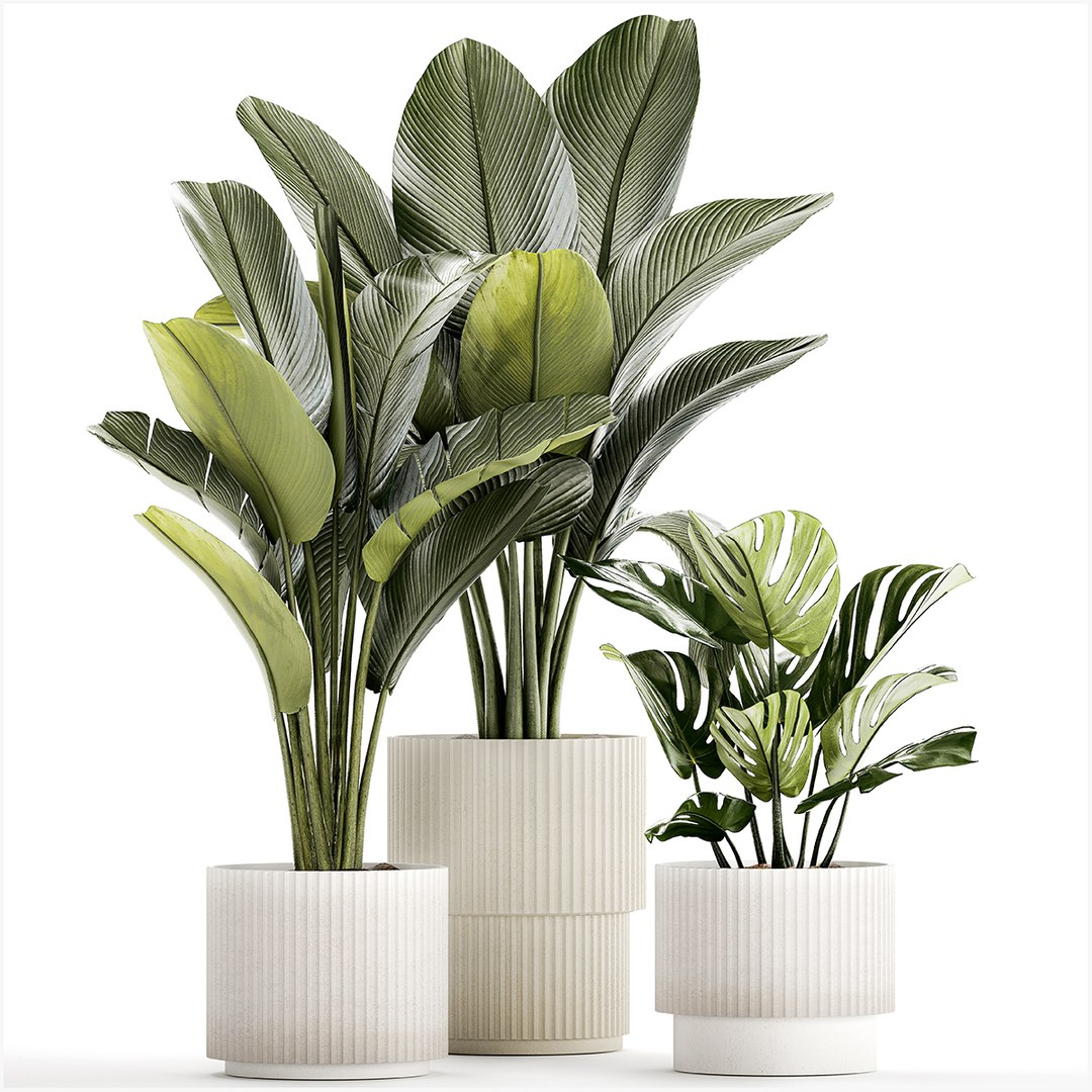 PLANTS set 06112023 3D MAX 2015 3D model https://p.turbosquid.com/ts-thumb/i5/aVdBSQ/nM/1plantsset0611202301/jpg/1699352162/1920x1080/fit_q87/e64b32371ebf3c632f4bd321103fa7c5fc4e1062/1plantsset0611202301.jpg