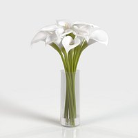 Cala Lily In Vase PBR