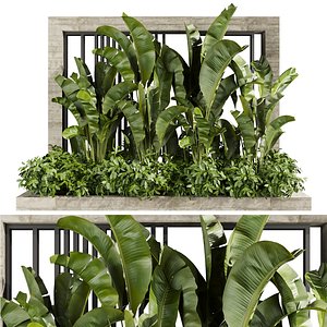 3D plant vol 801 - garden - leaf - banana