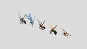 Insects Collection 3D