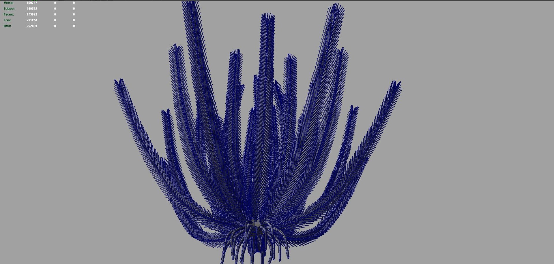 crinoids feather stars ma