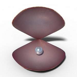 Shell with Pearl Oyster