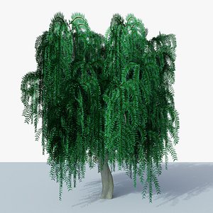 3D Willow Tree v1