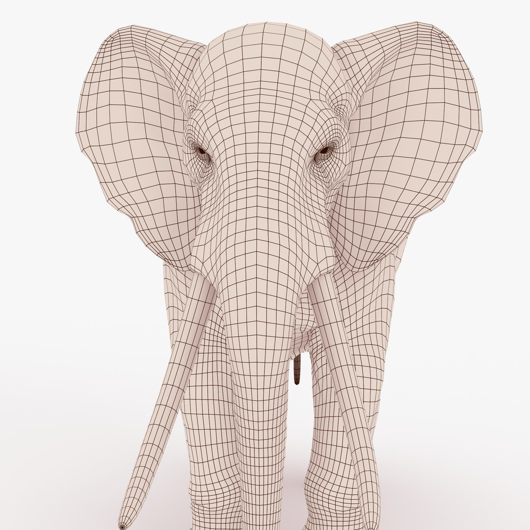 3D African Elephant Rigged Model - TurboSquid 1213648