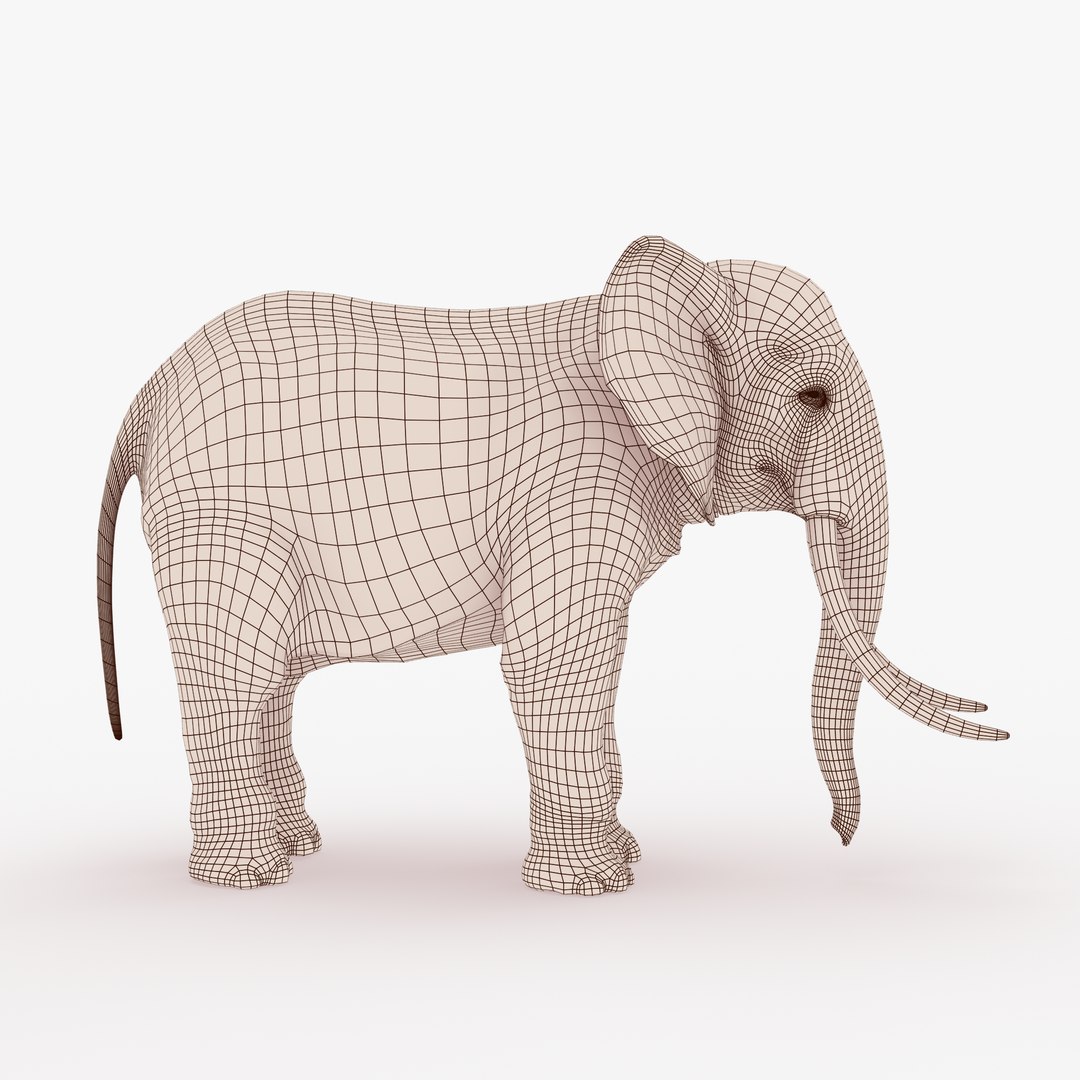 3D African Elephant Rigged Model - TurboSquid 1213648