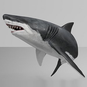 Great White Shark Rigged L758