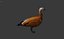 Duck 3d model