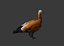 Duck 3d model