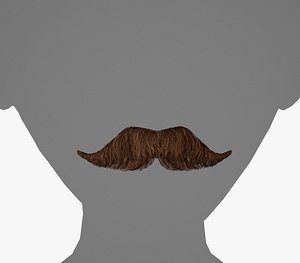 Facial Hair Cards Style 6 - Hungarian Mustache