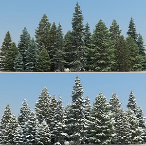 3d 20 spruce trees