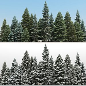 3d 20 spruce trees