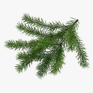 christmas fir branches 3D model