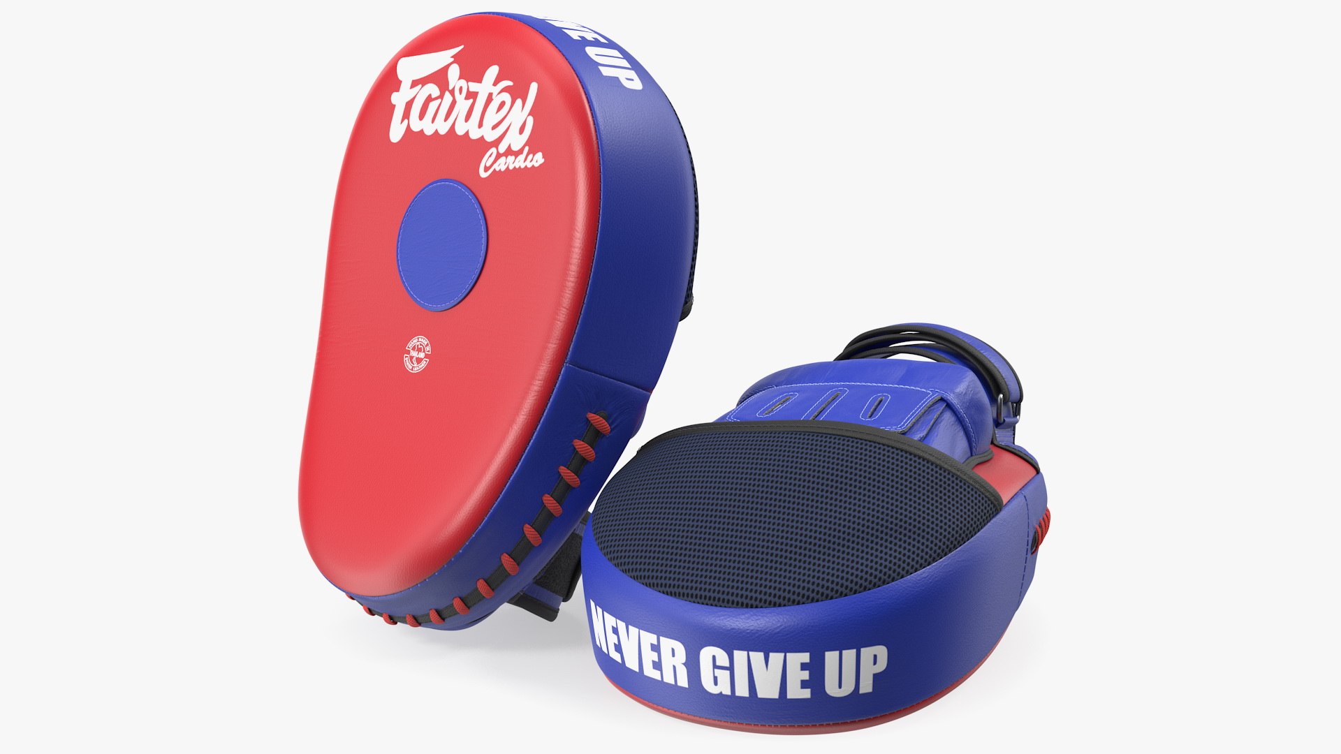 Fairtex FMV13 Maximised Focus Mitts 3D model preview