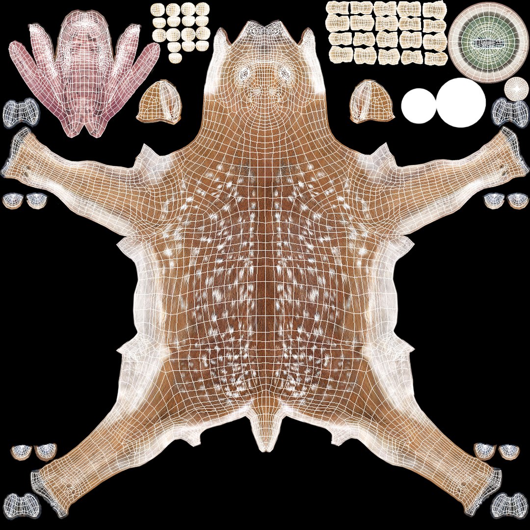 White-Tailed Fawn Deer Fur for Maya model https://p.turbosquid.com/ts-thumb/i6/tTKvoj/KK/whitetailed_fawn_deer_fur_016/jpg/1749604130/1920x1080/fit_q87/f6a854e8ddb6188a0e278be82bbfd10ceef171b1/whitetailed_fawn_deer_fur_016.jpg