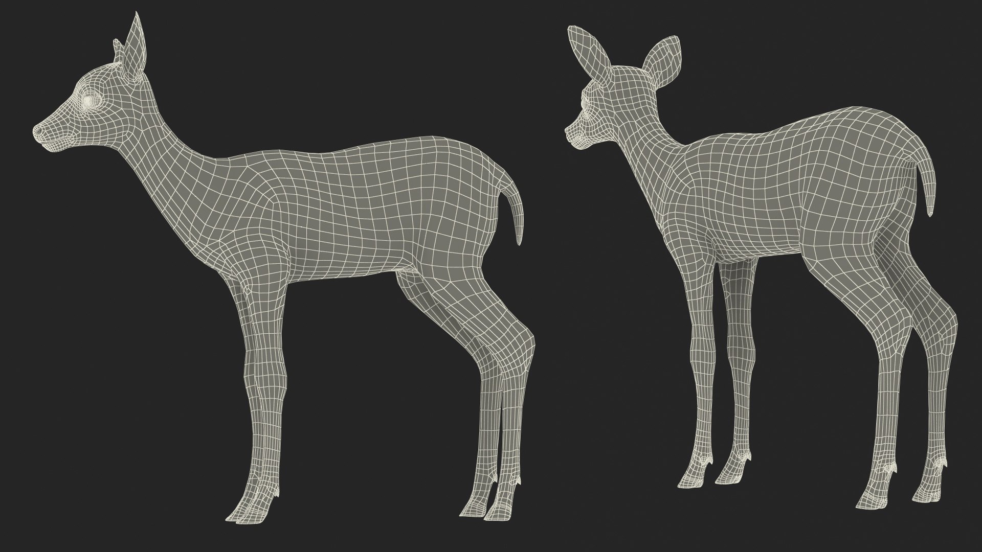 White-Tailed Fawn Deer Fur for Maya model https://p.turbosquid.com/ts-thumb/i6/tTKvoj/Pa/whitetailed_fawn_deer_fur_019/jpg/1749604140/1920x1080/fit_q87/e9c4a4e89ed60efd6842b0a334f5dd886a563399/whitetailed_fawn_deer_fur_019.jpg