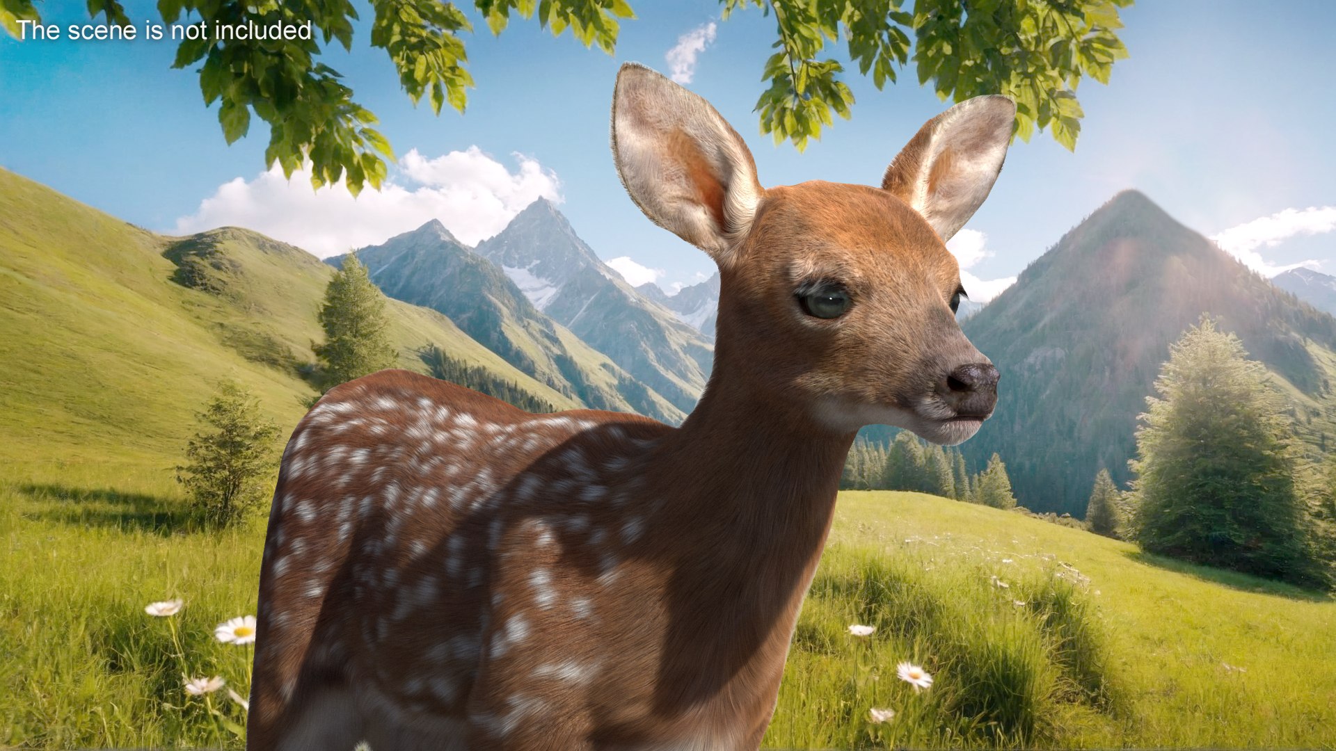 White-Tailed Fawn Deer Fur for Maya model https://p.turbosquid.com/ts-thumb/i6/tTKvoj/z5/whitetailed_fawn_deer_fur_003/jpg/1749604083/1920x1080/fit_q87/ff56cc15f07630dea8c1fc8c89981453aa8a4ad1/whitetailed_fawn_deer_fur_003.jpg