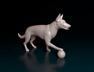 Dog with ball 3D model