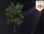 3D Realistic Animated Tree Pack Blender 3 model