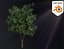 3D Realistic Animated Tree Pack Blender 3 model