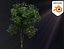 3D Realistic Animated Tree Pack Blender 3 model