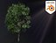 3D Realistic Animated Tree Pack Blender 3 model