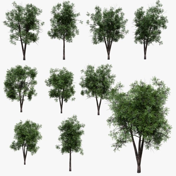 3D Realistic Animated Tree Pack Blender 3 model - TurboSquid 1850656