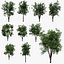 3D Realistic Animated Tree Pack Blender 3 model