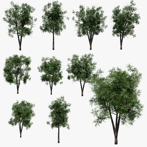 Realistic Animated Tree Pack Blender 3