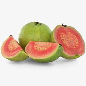 Pink Guava Set 2 3D model