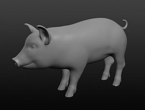 3D piggy base mesh model