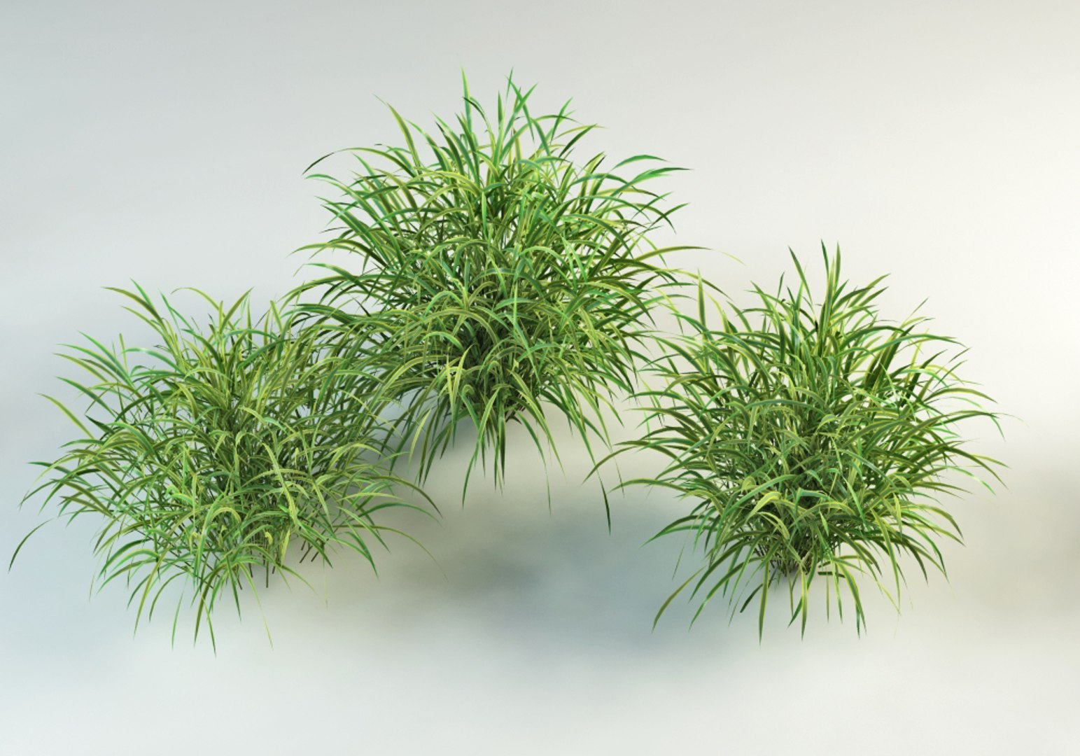 grasses planting garden 3d 3ds https://p.turbosquid.com/ts-thumb/i7/Vz6Qo3/3UH6uHFp/grass_collection_0005/jpg/1400050472/1920x1080/fit_q87/0245763e5f2833e3dca73217f7dd5dd4c47cf448/grass_collection_0005.jpg