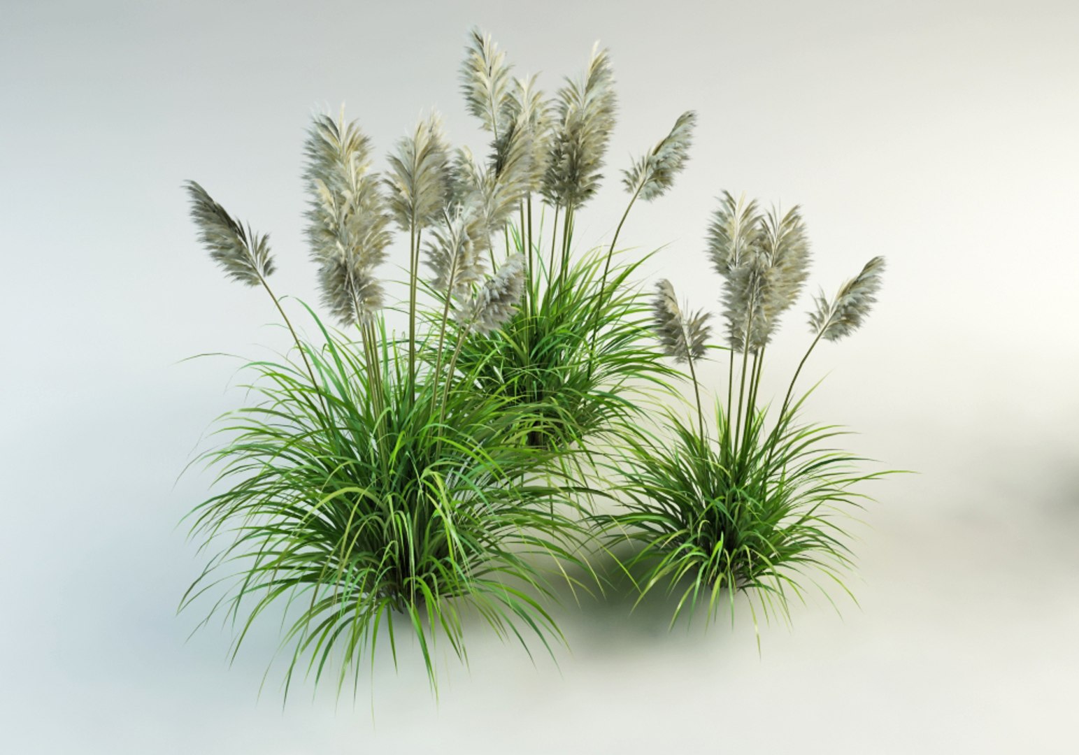 grasses planting garden 3d 3ds https://p.turbosquid.com/ts-thumb/i7/Vz6Qo3/U0DKzUW8/grass_collection_0006/jpg/1400050472/1920x1080/fit_q87/48693fbd750c32d0116bd298e471a0e769e7e376/grass_collection_0006.jpg