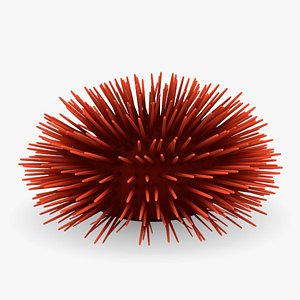 3d model sea urchin